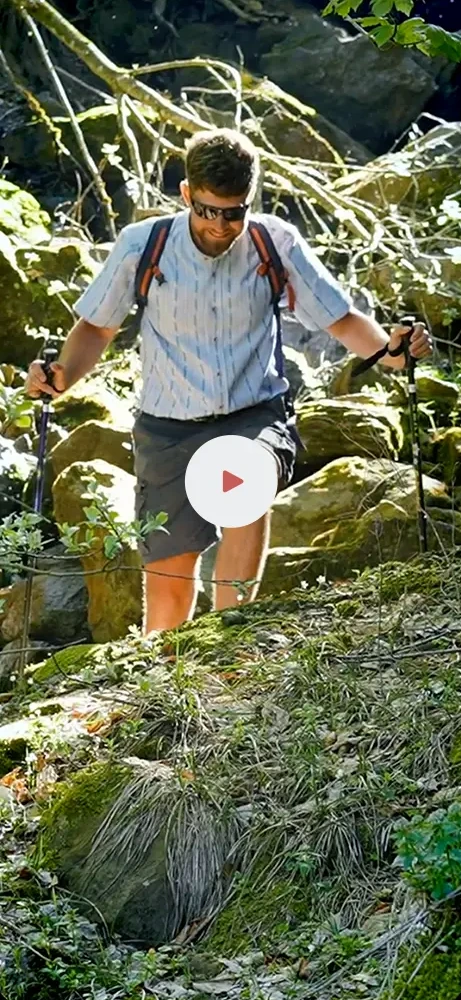 Beispiel-Content: TikTok